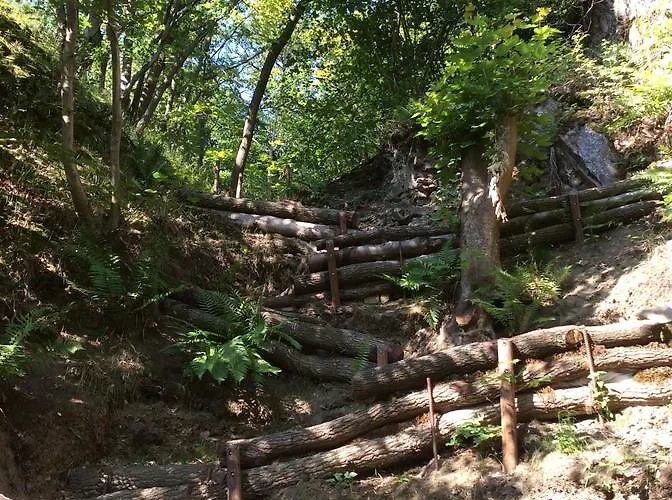 Auermuehle 3* Hamm (Sieg)